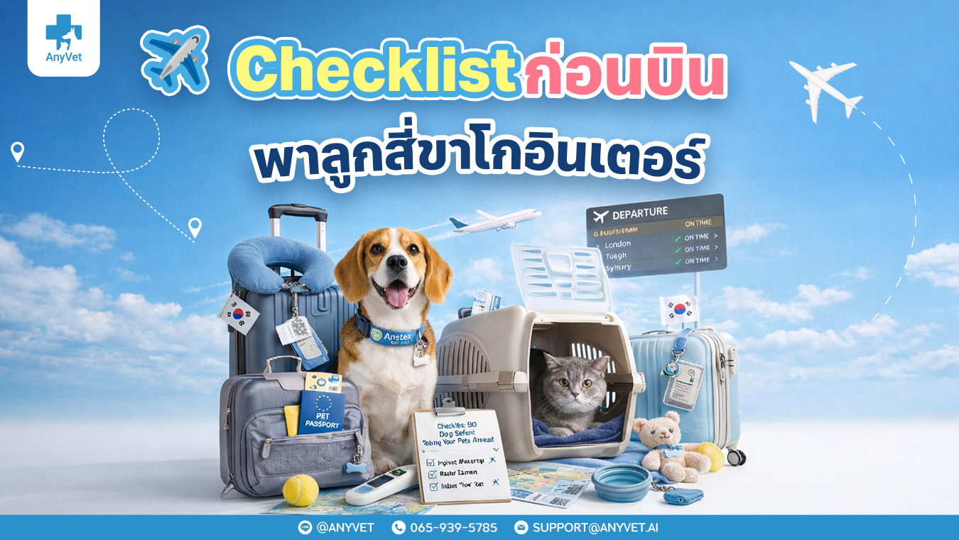 Timeline for Your Four-Legged Jetsetter!